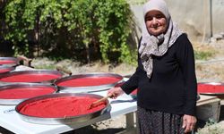 DOMATES SALÇASI HAZIRLANIYOR