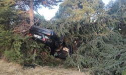 OTOMOBİL AĞACA ÇARPTI