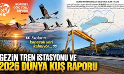 GEZİN TREN İSTASYONU VE 2026 DÜNYA KUŞ RAPORU