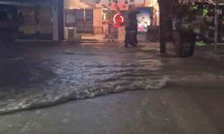 ELAZIĞ YAĞMURA ALIŞTI