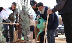 ŞEHİTLERİMİZİN ANISINA FİDANLAR TOPRAKLA BULUŞTU