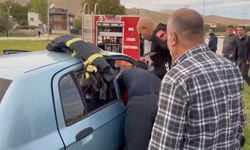 TRAFİK KAZASI: 2 YARALI