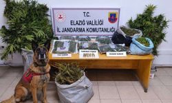 UYUŞTURUCU OPERASYONU: 3 TUTUKLU