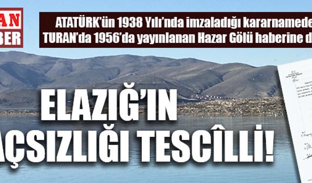 ELAZIĞ’IN AĞAÇSIZLIĞI TESCÎLLİ!