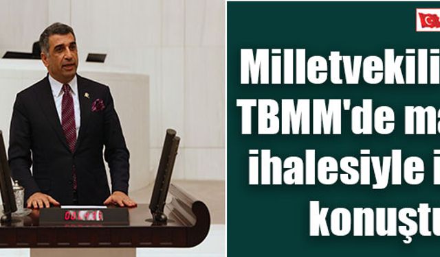 Milletvekili Erol, TBMM'de maden ihalesiyle ilgili konuştu