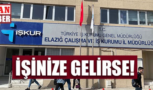 İŞİNİZE GELİRSE!