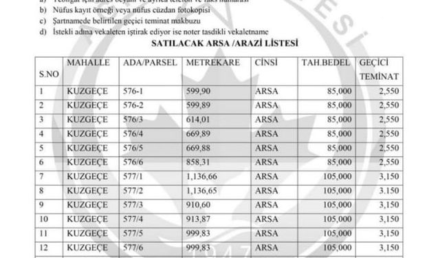 AĞIN’DA 22 ARSA SATIŞA ÇIKARILDI