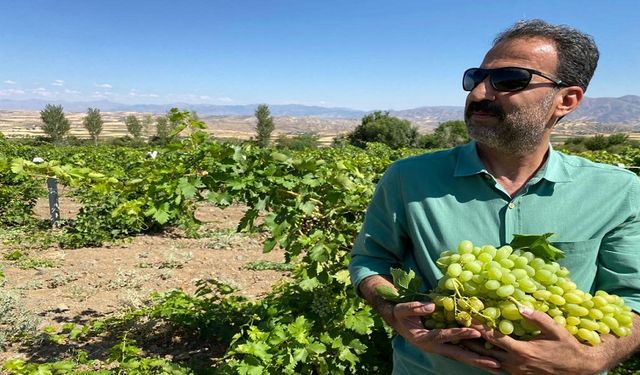 İŞ İNSANI ERCAN: İYİ PARTİ İKTİDARINDA TARIMSAL KALKINMA YAŞANACAK