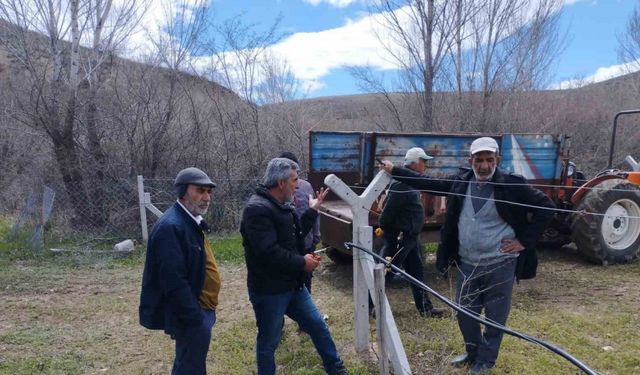 ELAZIĞ’DA ÇİFTÇİLERE BAĞ BUDAMA EĞİTİMİ!