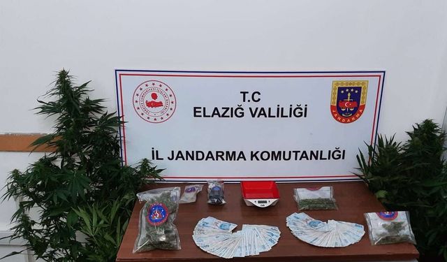 ELAZIĞ’DA UYUŞTURUCU MADDE OPERASYONU 