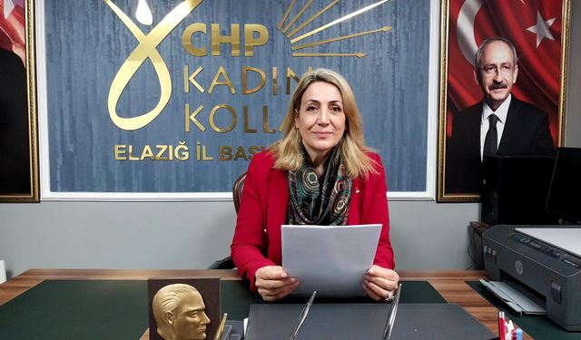 ‘’KADINA YÖNELİK ŞİDDETİ DE KADIN CİNAYETLERİNİ DE SONLANDIRACAĞIZ’’