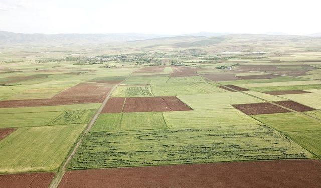 KUZOVA’DA BETONLAŞMA ÖNLENMELİ! 