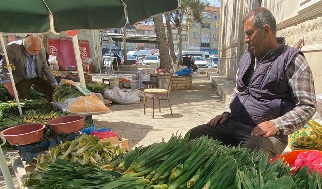 ELAZIĞ’DA ÇİRİŞ OTU TEZGAHLARDA YERİNİ ALDI