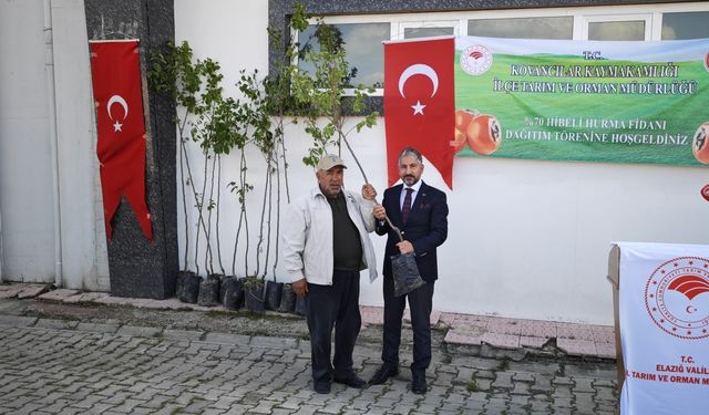 ELAZIĞ’DA TRABZON HURMASI FİDAN DAĞITIMI GERÇEKLEŞTİ