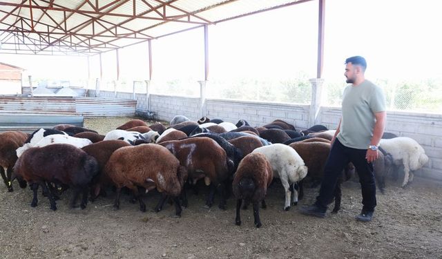 ELAZIĞ'DA KURBANLIKLAR GÖRÜCÜYE ÇIKTI