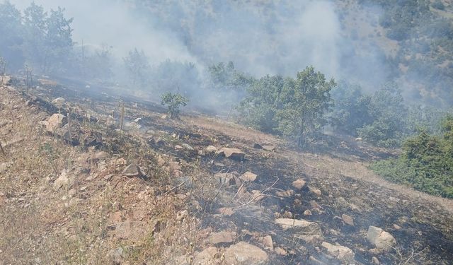 BASKİL’DE AĞAÇLIK ALANDA YANGIN