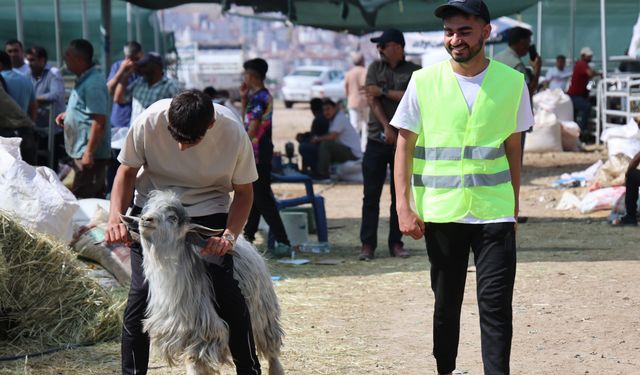 ''FİYAT BİRAZ DAHA UYGUN''