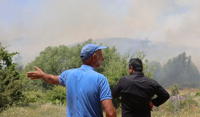 ELAZIĞ'DA ORMAN YANGINI: EKİPLERİN HAVADAN VE KARADAN MÜDAHALESİ SÜRÜYOR