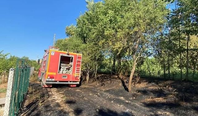 ELAZIĞ’DA ÖRTÜ VE BAHÇE YANGINI