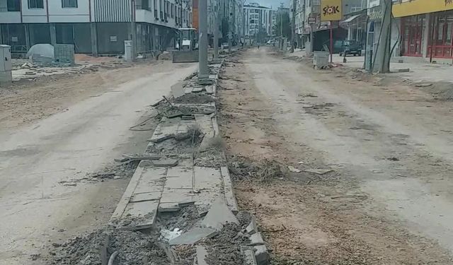 ELAZIĞ BELEDİYESİ'NDEN OLGUNLAR’DA ‘AĞAÇ’ KATLİAMI!