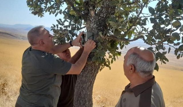 ELAZIĞ’DA FOTOKAPANLARIN BAKIMI YAPILDI