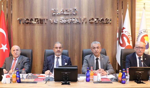 BAŞKAN ALAN:"TEŞVİK KARARI, BİRLİĞİMİZİN GÜCÜNÜ GÖSTERMESİ ADINA ANLAMLI VE DEĞERLİDİR"