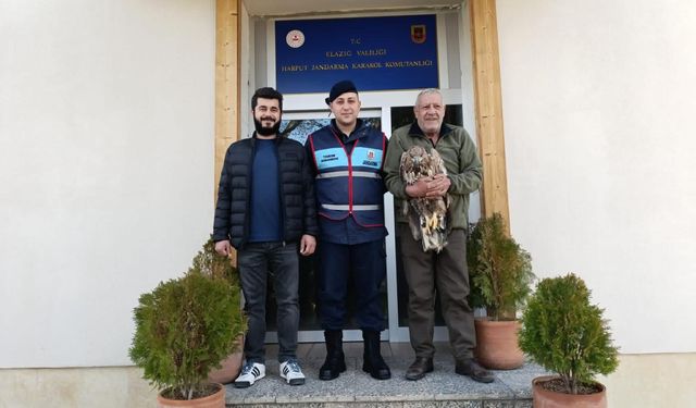 YARALI KAYA KARTALINA JANDARMA ŞEFKATİ
