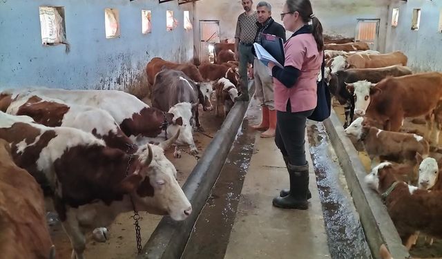 AŞILAMA VE KÜPELEME ÇALIŞMALARI SÜRÜYOR
