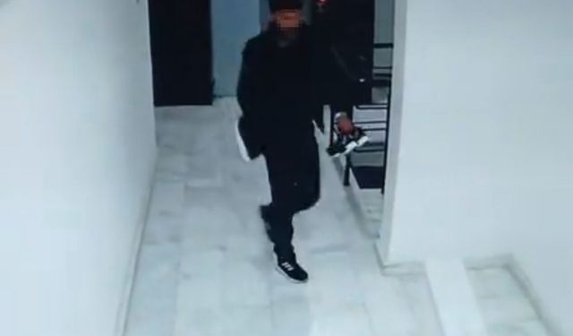 HIRSIZLAR KAMERAYI TAKMIYOR