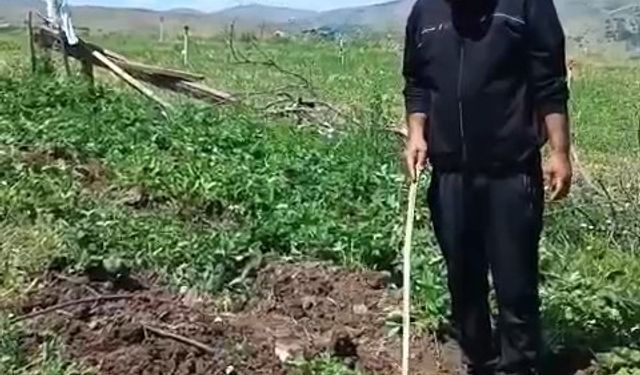 ELAZIĞLI ÜRETİCİ DOMUZLARA SİTEM ETTİ