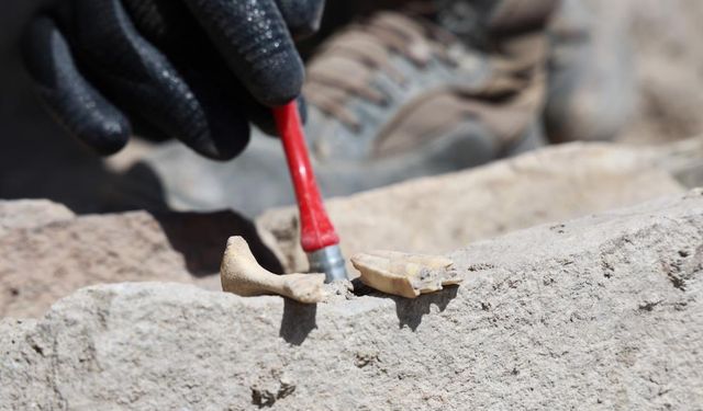 TADIM KALESİ KAZILARI DEVAM EDİYOR