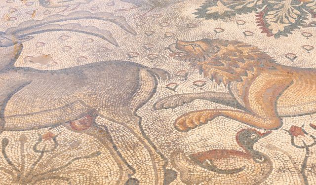 SALKAYA HAZİNELERİ BİR BİR ORTAYA ÇIKIYOR