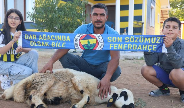 ADAKLARINI KESTİLER