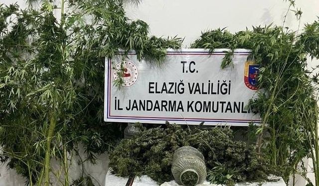 ZEHİR İLE MÜCADELE: 1 TUTUKLAMA