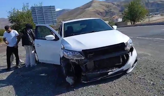 OTOMOBİL KÖPEĞE ÇARPTI: 1 YARALI