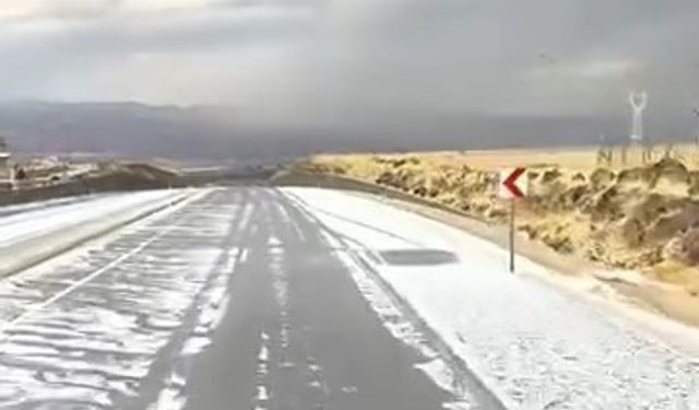 ELAZIĞ'DA DOLU YAĞIŞI