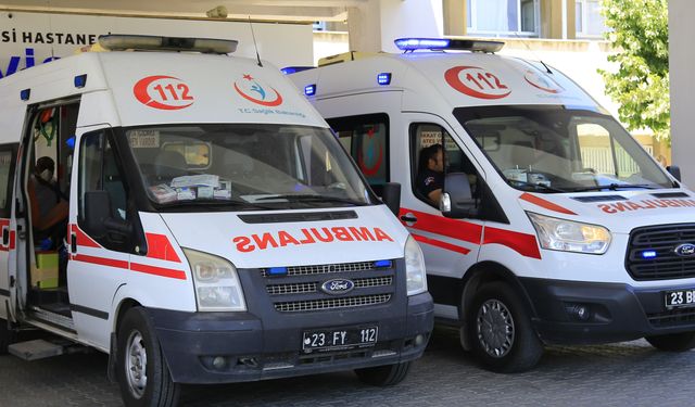 ÜZÜM ALMAYA GELDİ, HAYATINI KAYBETTİ