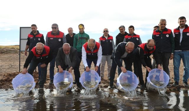 SU KAYNAKLARINI BALIKLANDIRMA PROJESİ