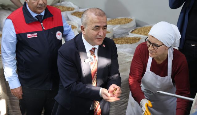 AĞIN'DA YÖRESEL LEBLEBİ YAPIMI ETKİNLİĞİ