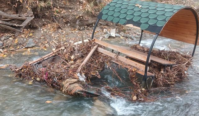 PALU'DA TEKE DERESİ TAŞTI