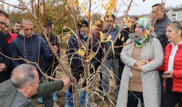 AĞAÇ BUDAMA VE AŞILAMA EĞİTİMİ