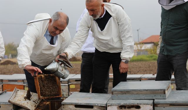 ARI KOVANLARI İNCELENDİ