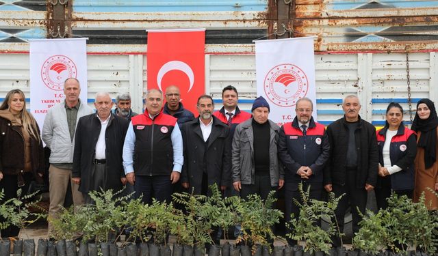 SUMAK ÜRETİMİ ARTIYOR