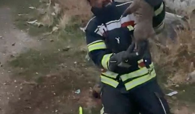 YÜREK ISITAN KURTARMA OPERASYONU