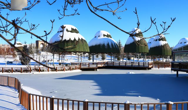 SÜS HAVUZLARI DONDU