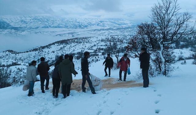 YABAN HAYVANLARI UNUTULMADI