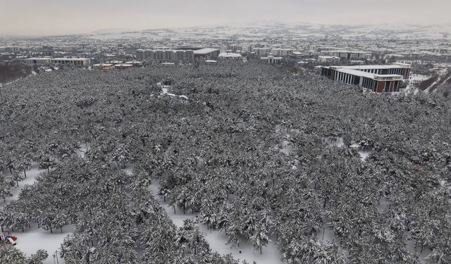 BETON YIĞINLARI ARASINDAKİ BEYAZ VAHA