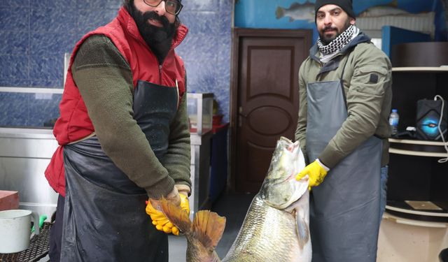 İKİ KİŞİ ZOR TAŞIDI