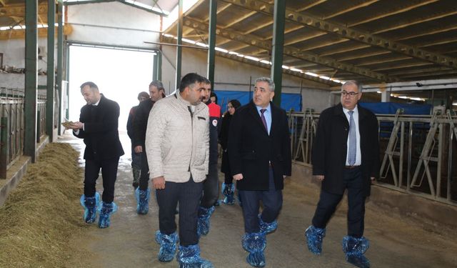 HAYVANCILIK ALTYAPISI YERİNDE İNCELENDİ