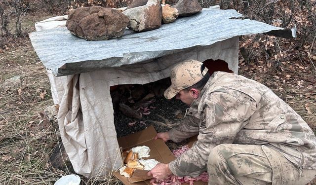 YAVRU KÖPEKLERE JANDARMADAN ŞEFKAT ELİ
